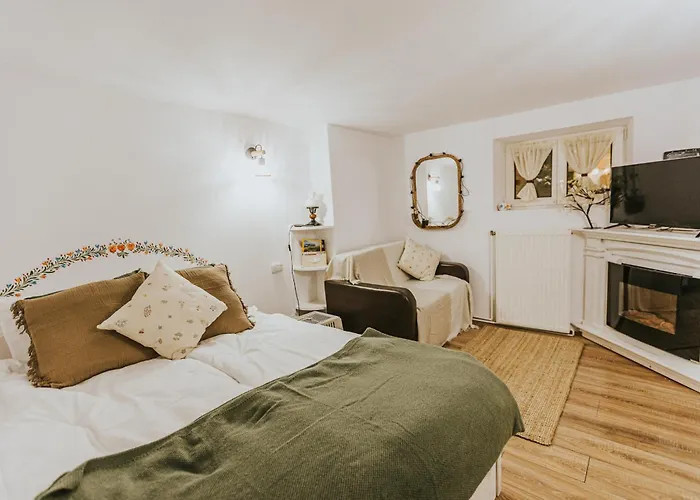 Republicii Rustic Apartament In Brasov City Center