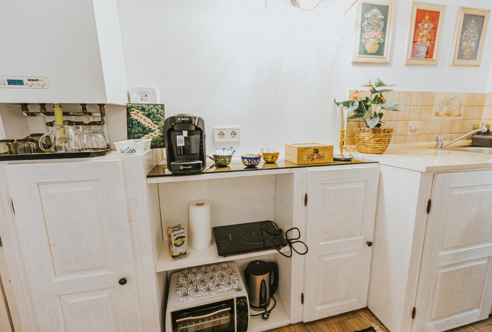 Appartement Republicii Rustic In Center *