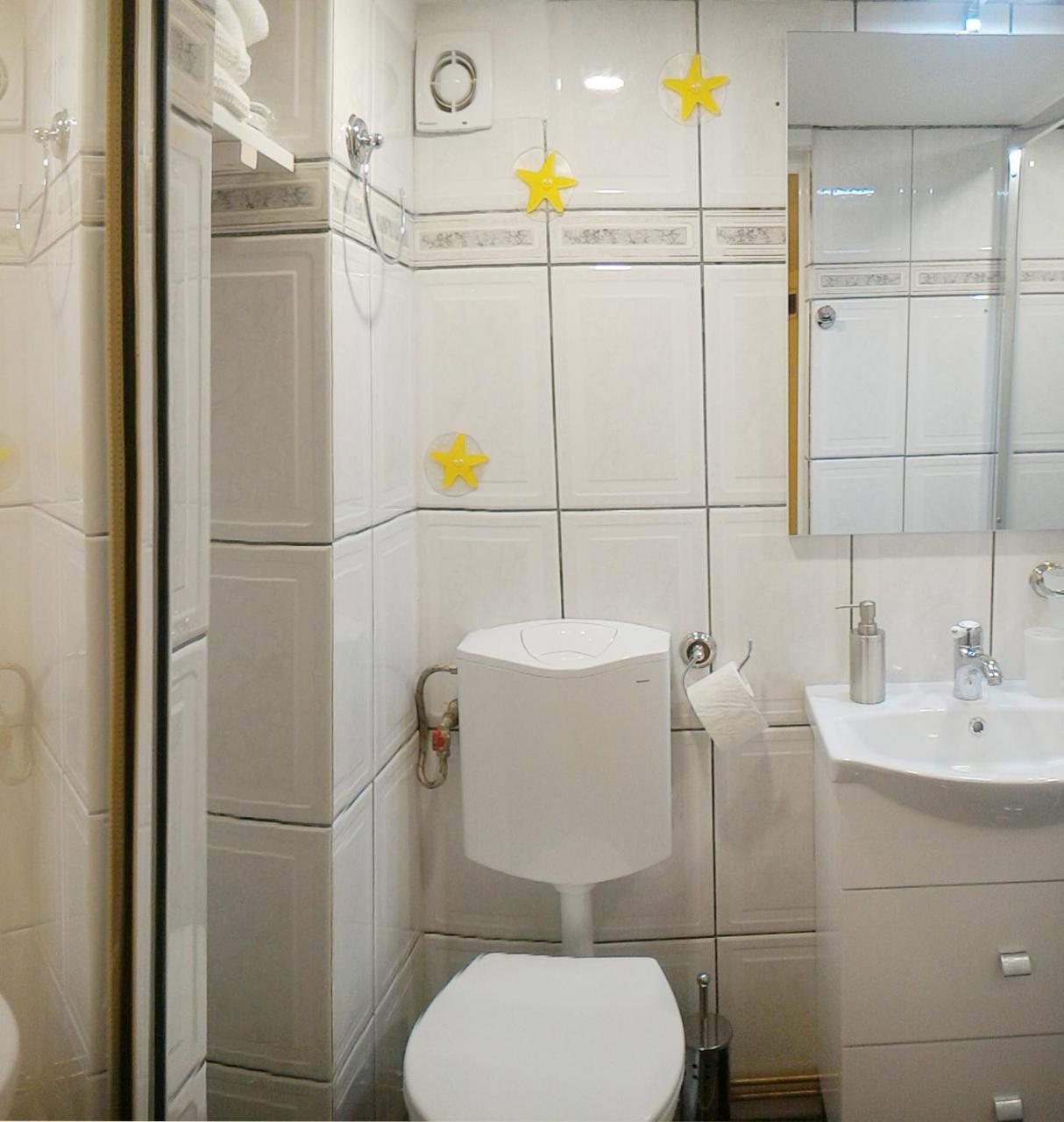 Appartamento Republicii Rustic In Center
